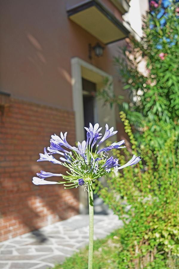 Apartamento Bondi900 - Tigli Bolonia Exterior foto